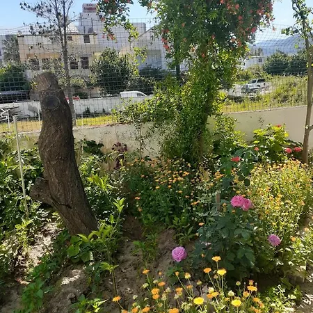 Samos * 古泽尔坎里