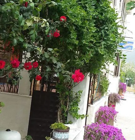 Samos Aparthotel Guzelcamli