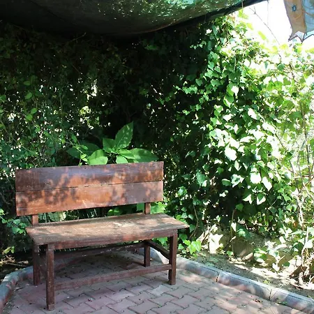 Aparthotel Samos Guzelcamli