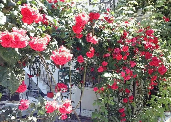 Apartmanhotel Samos *
