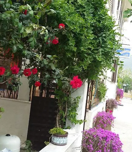 Samos Apartmanhotel Guzelcamlı