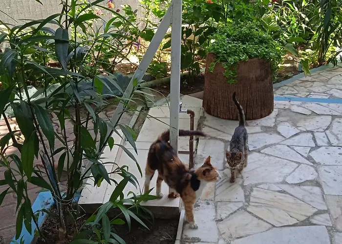 Apartmanhotel Samos *