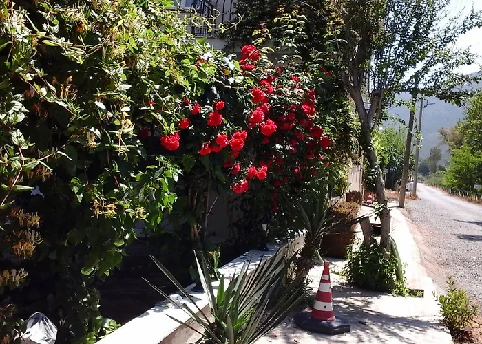 Apartmanhotel Samos *