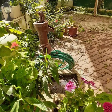 Samos Apart Апарт-отель *