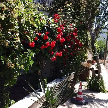 Aparthotel Samos Apart *