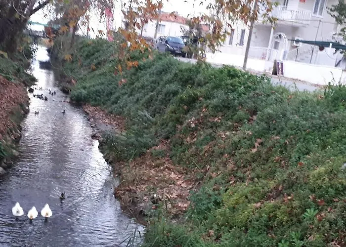 Hotel de apartamente Samos *