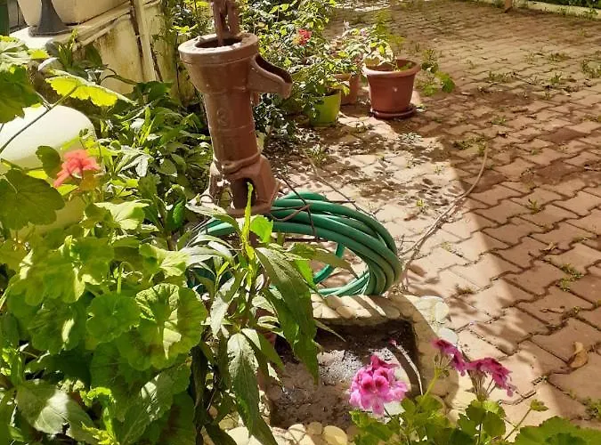 Samos Hotel de apartamente *