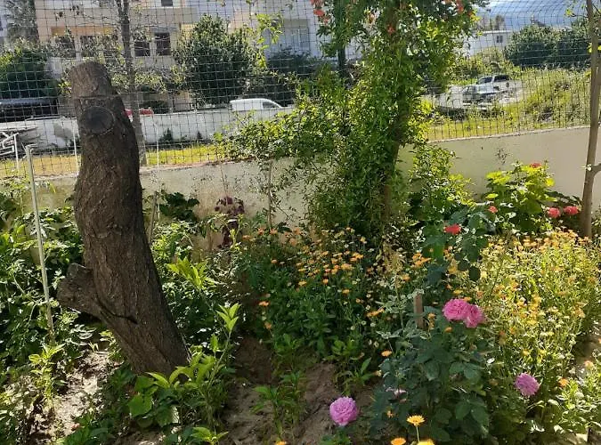 Samos * Guzelcamlı