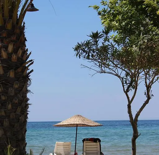 Samos Guzelcamlı