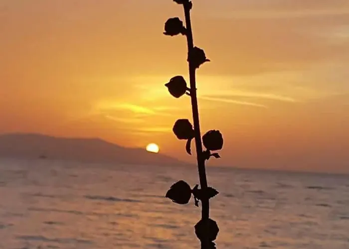 Samos *